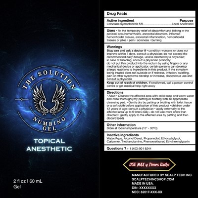 Label (01b Lbl The Solution Gel Artwork For Ndc Submission)
